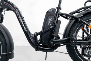 Rad Power RadExpand 5 Electric Folding Bike - One Size