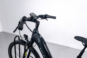 Raleigh Motus Grand Tour Low Step Hub Gear Electric Bike 2022 - Small